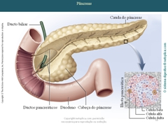 Diapositivo50