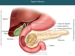 Diapositivo53