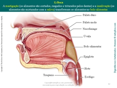 Diapositivo62