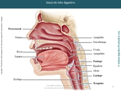 Diapositivo63