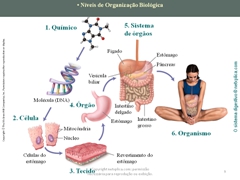 Diapositivo9