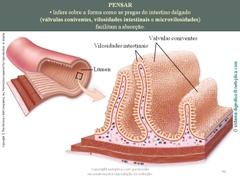 Diapositivo98