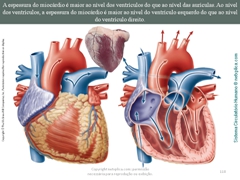 Diapositivo118