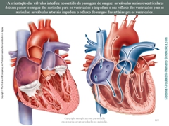 Diapositivo122