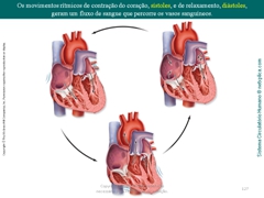 Diapositivo127