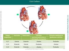 Diapositivo130