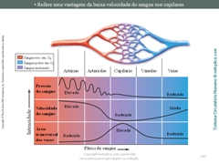 Diapositivo143