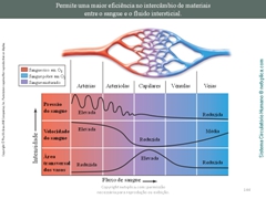 Diapositivo144