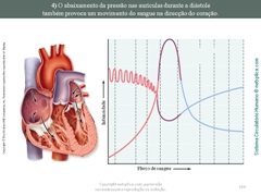 Diapositivo150