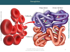 Diapositivo23