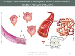 Diapositivo52