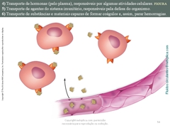 Diapositivo54