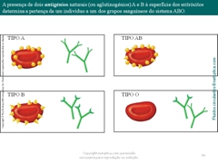 Diapositivo59