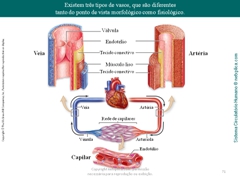 Diapositivo71