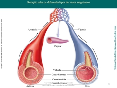 Diapositivo73