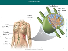 Diapositivo23