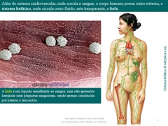 Diapositivo3