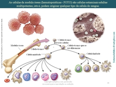 Diapositivo39