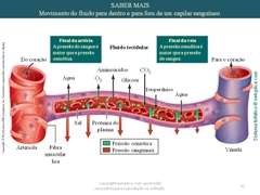 Diapositivo62