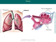 Diapositivo22