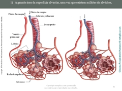 Diapositivo32