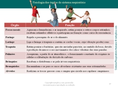 Diapositivo37