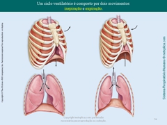 Diapositivo56