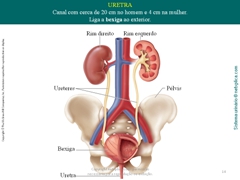 Diapositivo14