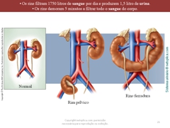 Diapositivo21