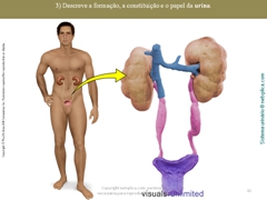 Diapositivo32