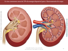 Diapositivo36