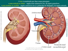 Diapositivo37