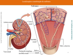 Diapositivo42