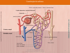 Diapositivo45