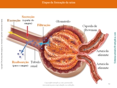 Diapositivo58