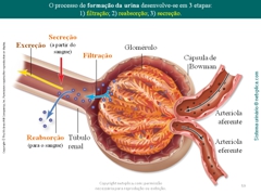 Diapositivo59