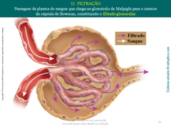 Diapositivo60