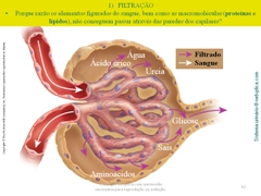 Diapositivo62