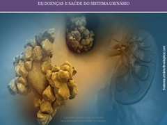 Diapositivo77