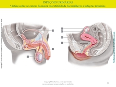 Diapositivo81