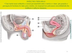 Diapositivo82