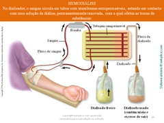 Diapositivo89