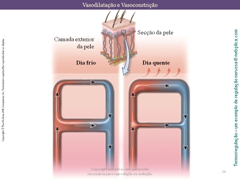 Diapositivo26