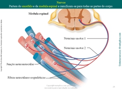 Diapositivo23