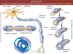 Diapositivo38