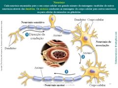 Diapositivo39