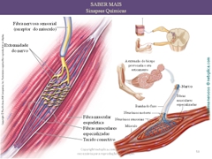 Diapositivo50