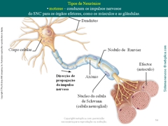 Diapositivo54