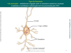Diapositivo55