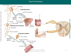 Diapositivo57